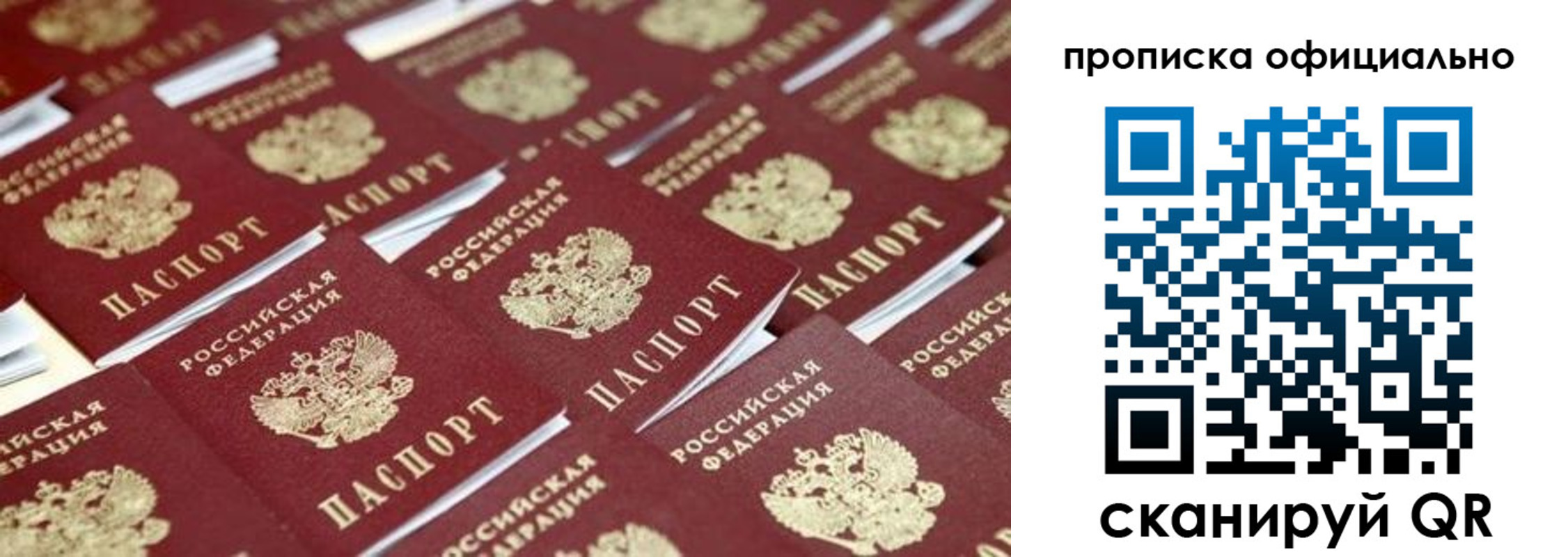 прописка гарантия в Кондрово